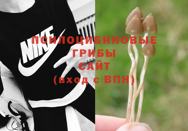 марки lsd Елабуга