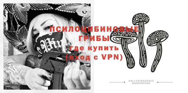 кокс Елизово