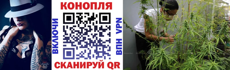 как найти наркотики  Усть-Катав  Марихуана семена 